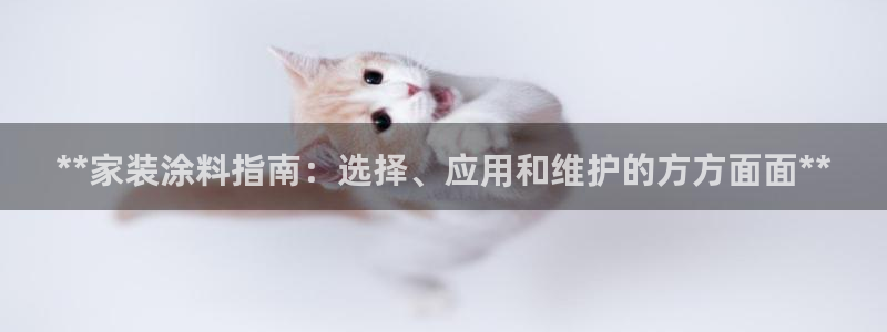 和记AG：**家装涂料指南：选择、应用和维护的方方面面**