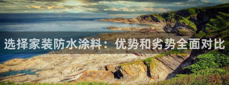 和记 中国官网：选择家装防水涂料：优势和劣势全面对比