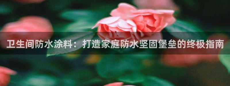 和记官方直营注册导航：卫生间防水涂料：打造家庭防水坚固堡垒的终极指南