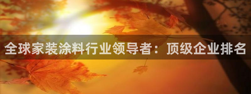 江苏和记餐饮有限公司：全球家装涂料行业领导者：顶级企业排名