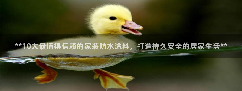和记ag：**10大最值得信赖的家装防水涂料，打造持久安全的居家生活**