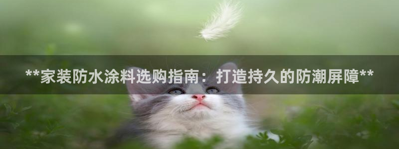上海和记餐饮：**家装防水涂料选购指南：打造持久的防潮屏障**