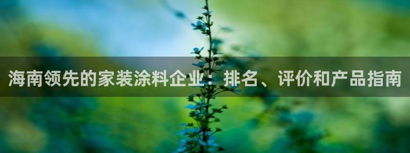 和记平台登录：海南领先的家装涂料企业：排名、评价和产品指南
