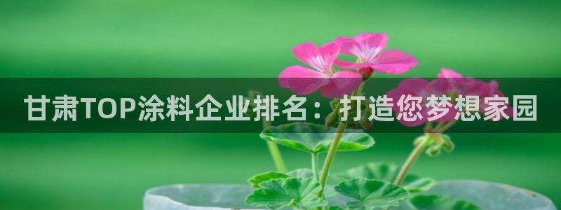 和记国际官网官网