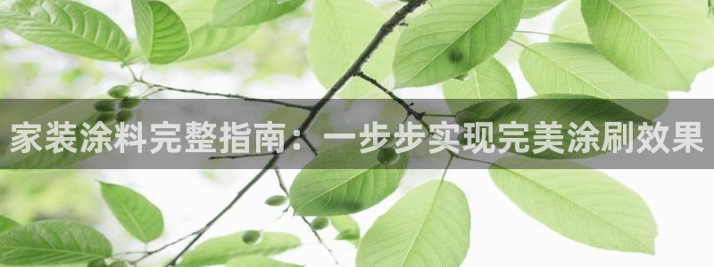 和记AG旗舰：家装涂料完整指南：一步步实现完美涂刷效果