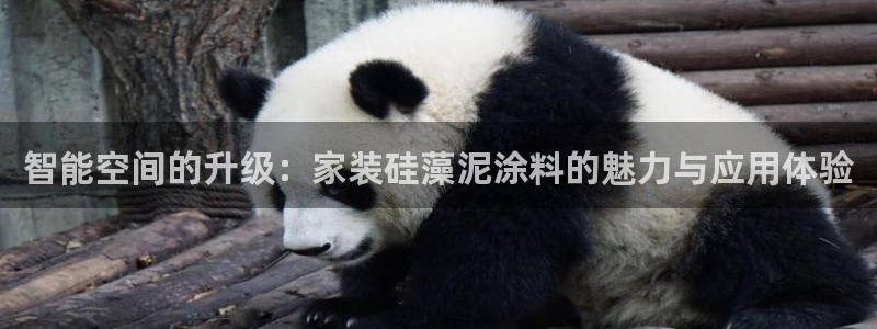 和记网页版：智能空间的升级：家装硅藻泥涂料的魅力与应用体验