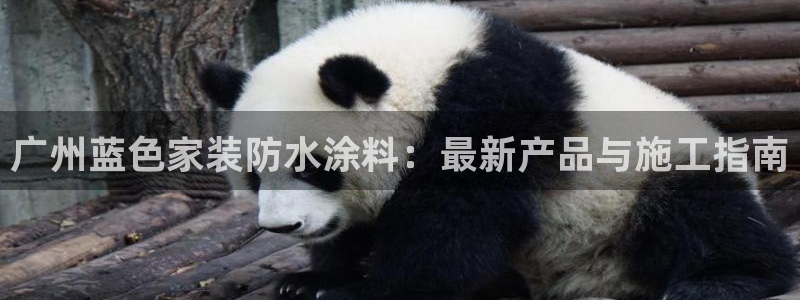 和记官网 公司：广州蓝色家装防水涂料：最新产品与施工指南