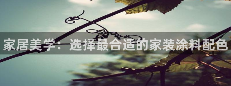 和记官方网站：家居美学：选择最合适的家装涂料配色