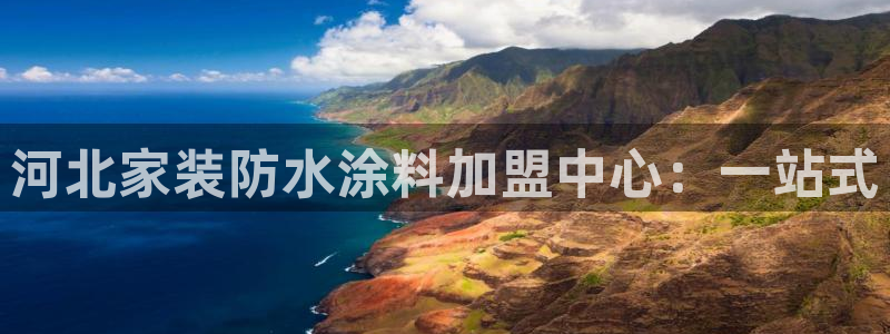 和记官方：河北家装防水涂料加盟中心：一站式