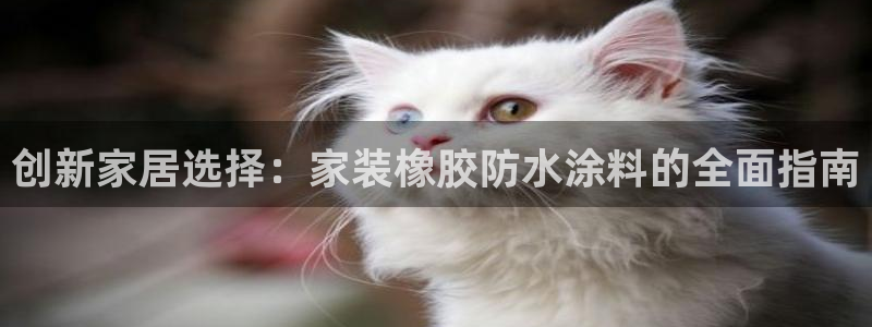 和记网页版：创新家居选择：家装橡胶防水涂料的全面指南