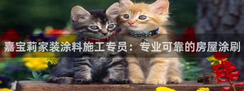 和记 首页：嘉宝莉家装涂料施工专员：专业可靠的房屋涂刷
