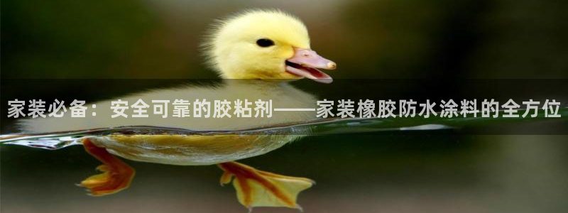 和记ag旗舰厅：家装必备：安全可靠的胶粘剂——家装橡胶防水涂