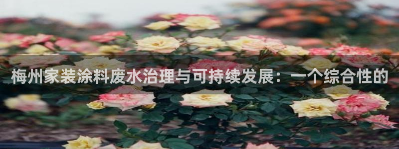 和记国际客服：梅州家装涂料废水治理与可持续发展：一个综合性的