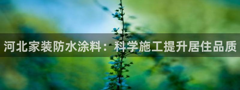 和记平台下载：河北家装防水涂料：科学施工提升居住品质