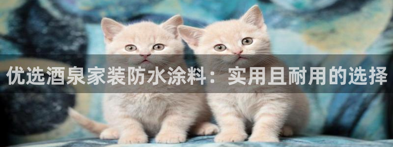 和记国际客服：优选酒泉家装防水涂料：实用且耐用的选择