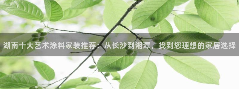 和记(福建)商贸有限公司：湖南十大艺术涂料家装推荐：从长沙到