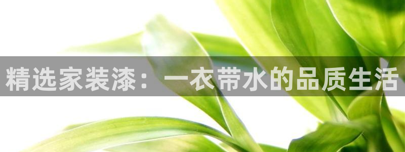 ag和记app：精选家装漆：一衣带水的品质生活