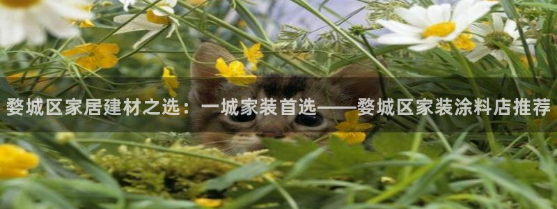 和记hj：婺城区家居建材之选：一城家装首选——婺城区家装涂料