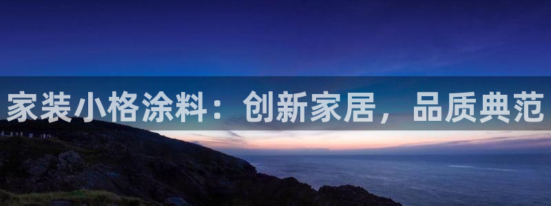 和记官网：家装小格涂料：创新家居，品质典范