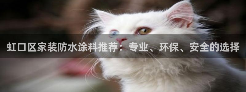 和记h88最新客户端下载：虹口区家装防水涂料推荐：专业、环保