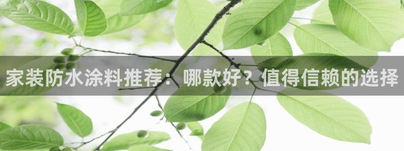 和记AG：家装防水涂料推荐：哪款好？值得信赖的选择