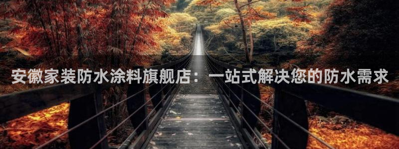 江苏和记数码科技有限公司：安徽家装防水涂料旗舰店：一站式解决您的防水需求