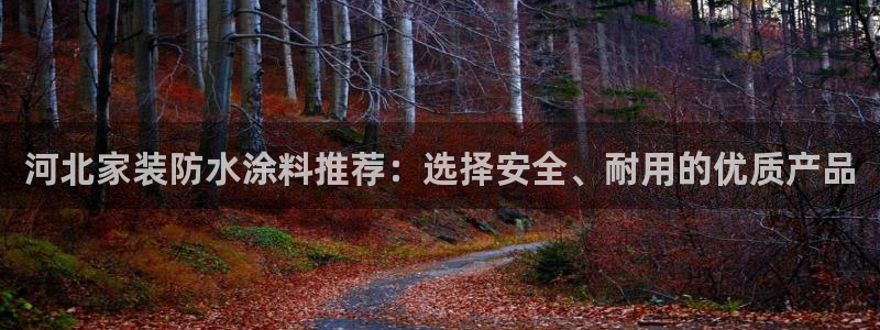 和记h88游戏：河北家装防水涂料推荐：选择安全、耐用的优质产品