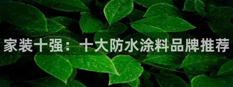 和记h88游戏
