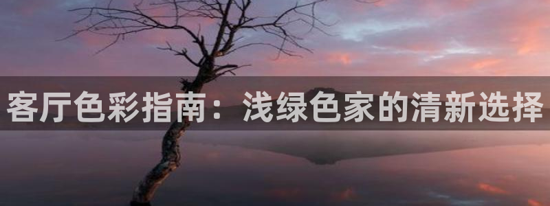 和记ag旗舰