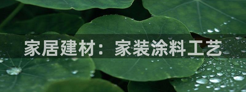 和记 中国首页：家居建材：家装涂料工艺