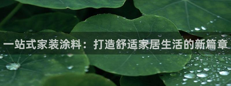 ag和记app：一站式家装涂料：打造舒适家居生活的新篇章