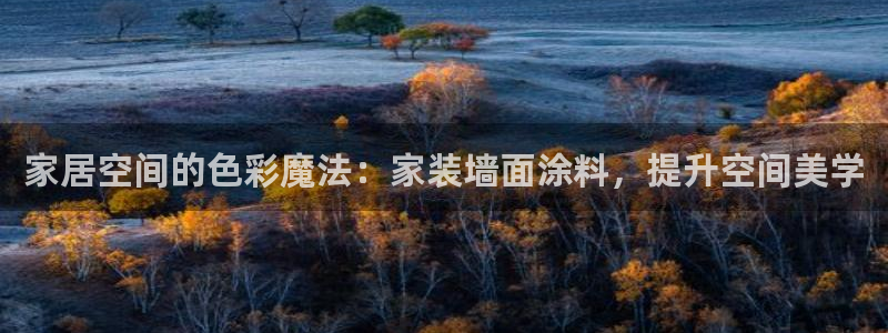 和记平台登录：家居空间的色彩魔法：家装墙面涂料，提升空间美学