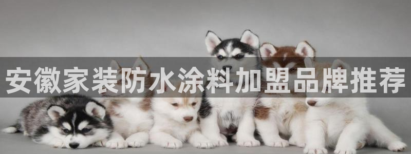 和记hj：安徽家装防水涂料加盟品牌推荐