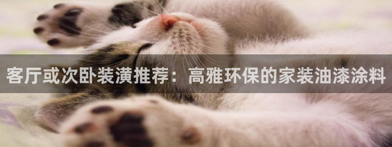 和记H88