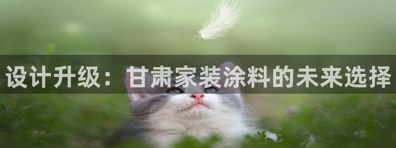 和记ag旗舰厅app：设计升级：甘肃家装涂料的未来选择