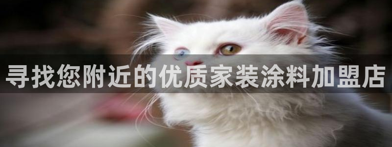 和记国际电讯市值：寻找您附近的优质家装涂料加盟店