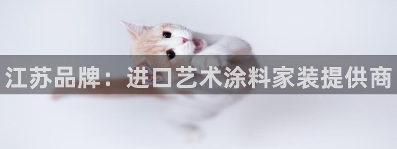 和记国际官网官网：江苏品牌：进口艺术涂料家装提供商