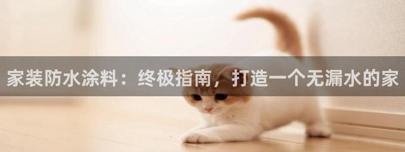 和记广告女主角：家装防水涂料：终极指南，打造一个无漏水的家