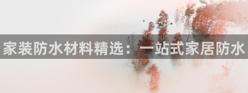 和记网页版：家装防水材料精选：一站式家居防水