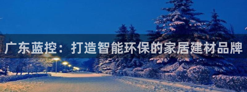 和记AG：广东蓝控：打造智能环保的家居建材品牌