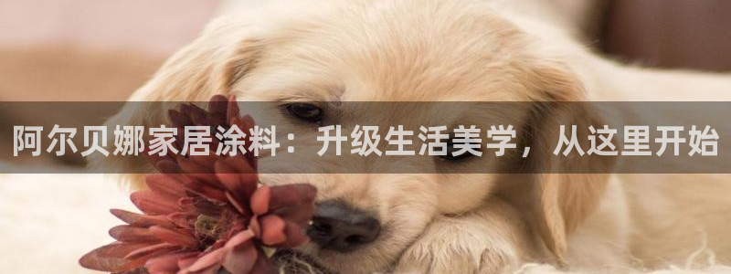 和记平台注册：阿尔贝娜家居涂料：升级生活美学，从这里开始