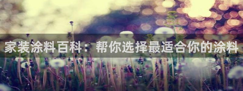 和记平台怎么样：家装涂料百科：帮你选择最适合你的涂料