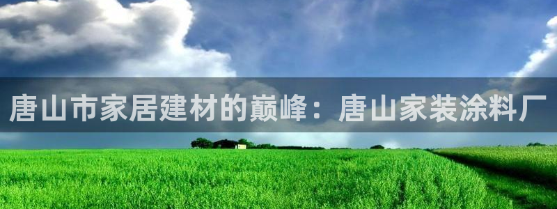和记官方平台：唐山市家居建材的巅峰：唐山家装涂料厂