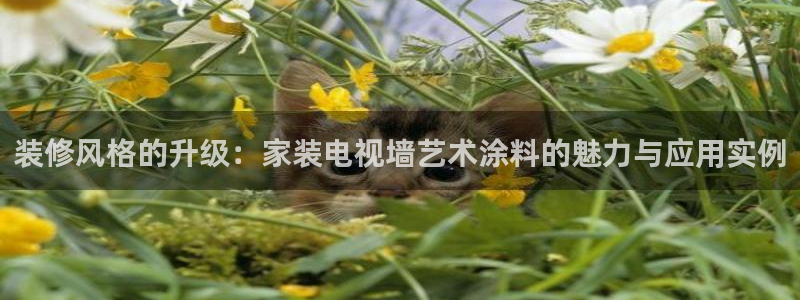和记国际听
