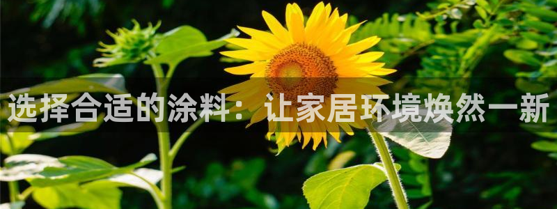 和记官方网站