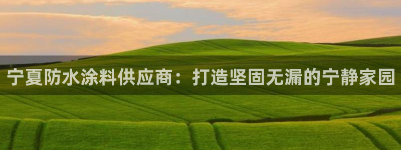 和记 中国首页：宁夏防水涂料供应商：打造坚固无漏的宁静家园
