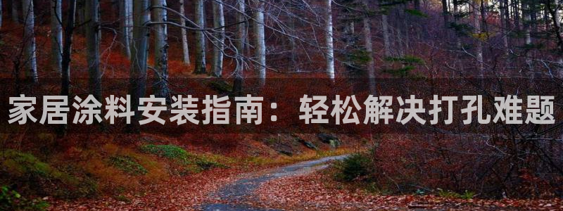 和记官网 公司：家居涂料安装指南：轻松解决打孔难题