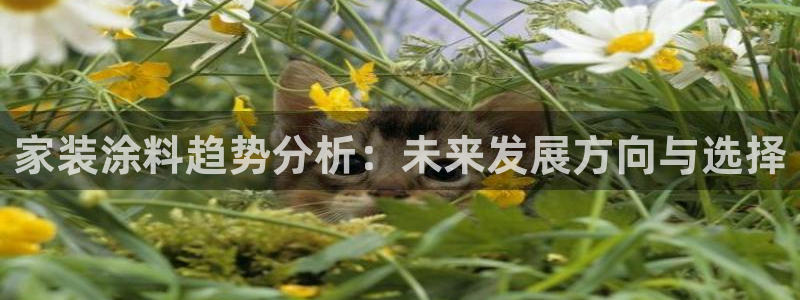 和记5g电讯：家装涂料趋势分析：未来发展方向与选择