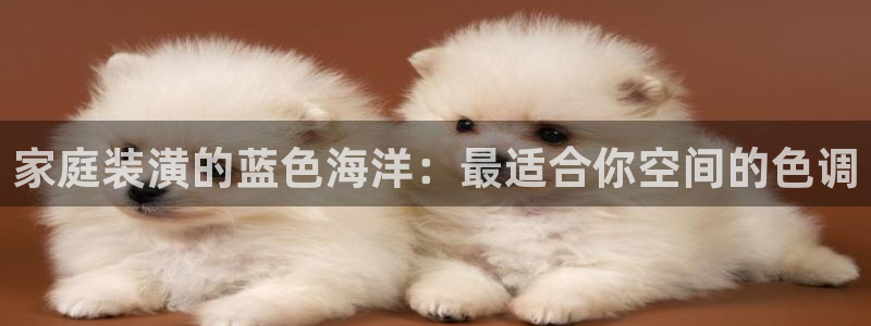 和记paging：家庭装潢的蓝色海洋：最适合你空间的色调