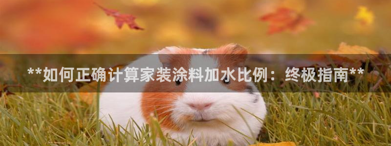 和记最新官方网址：**如何正确计算家装涂料加水比例：终极指南**